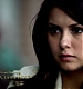 TVD_066.JPG