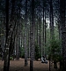 TVD_068.JPG
