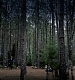 TVD_069.JPG