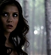 TVD_076.JPG