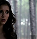 TVD_078.JPG