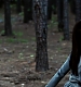 TVD_083.JPG