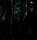 TVD_116.JPG