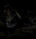 TVD_220.JPG