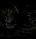 TVD_221.JPG