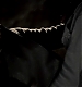 TVD_225.JPG