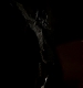 TVD_294.JPG