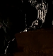 TVD_309.JPG