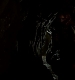 TVD_312.JPG