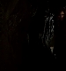 TVD_313.JPG