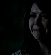 TVD_441.JPG