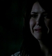 TVD_442.JPG