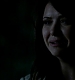 TVD_445.JPG