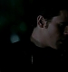 TVD_482.JPG