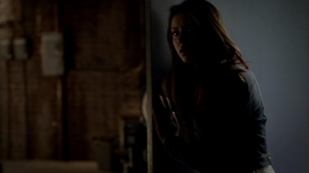 TVD_330.JPG