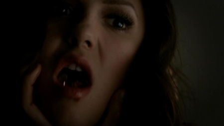TVD_429.JPG