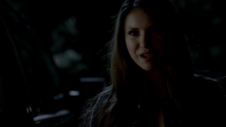 TVD_460.JPG