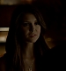 TVD_233.JPG