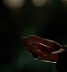TVD_238.JPG
