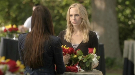 TVD_017.JPG