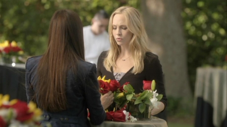 TVD_019.JPG