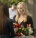 TVD_019.JPG