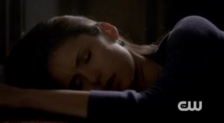 The_Vampire_Diaries_-_Nina_Dobrev_Interview-0008.jpg