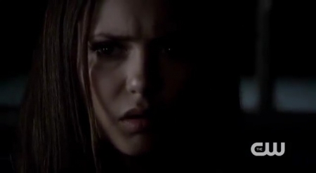 The_Vampire_Diaries_-_Nina_Dobrev_Interview-0090.jpg