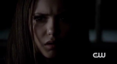 The_Vampire_Diaries_-_Nina_Dobrev_Interview-0091.jpg