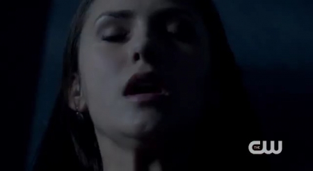 The_Vampire_Diaries_-_Nina_Dobrev_Interview-0138.jpg