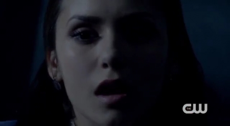 The_Vampire_Diaries_-_Nina_Dobrev_Interview-0142.jpg