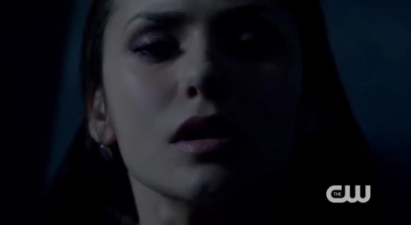 The_Vampire_Diaries_-_Nina_Dobrev_Interview-0147.jpg