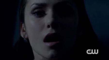 The_Vampire_Diaries_-_Nina_Dobrev_Interview-0150.jpg