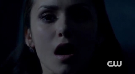 The_Vampire_Diaries_-_Nina_Dobrev_Interview-0151.jpg