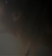 TVD_066.JPG