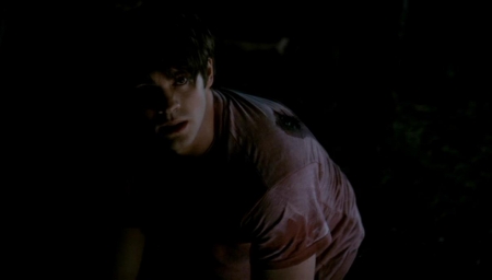 TVD_461.JPG