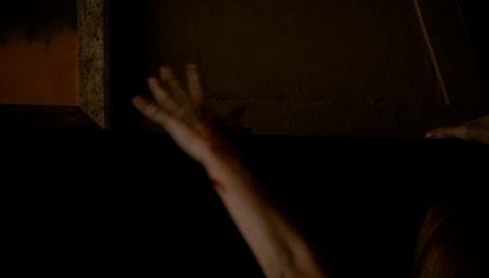 TVD_490.JPG