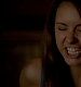 TVD_486.JPG
