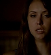 TVD_513.JPG