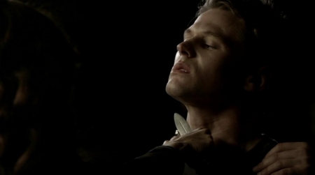TVD_278.JPG