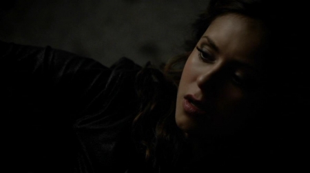 TVD_480.JPG