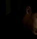 TVD_336.JPG
