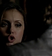 TVD_382.JPG