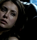Filename=TVD_190.JPG
Filesize=49KiB
Dimensions=1280x728
Date added=Mar 04, 2017 TVD_190.JPG