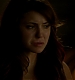 TVD_269.JPG