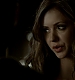 Filename=TVD_303.JPG
Filesize=35KiB
Dimensions=1280x728
Date added=Mar 04, 2017 TVD_303.JPG