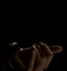 TVD_364.JPG