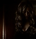 TVD_365.JPG
