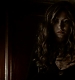 TVD_366.JPG