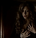 TVD_367.JPG